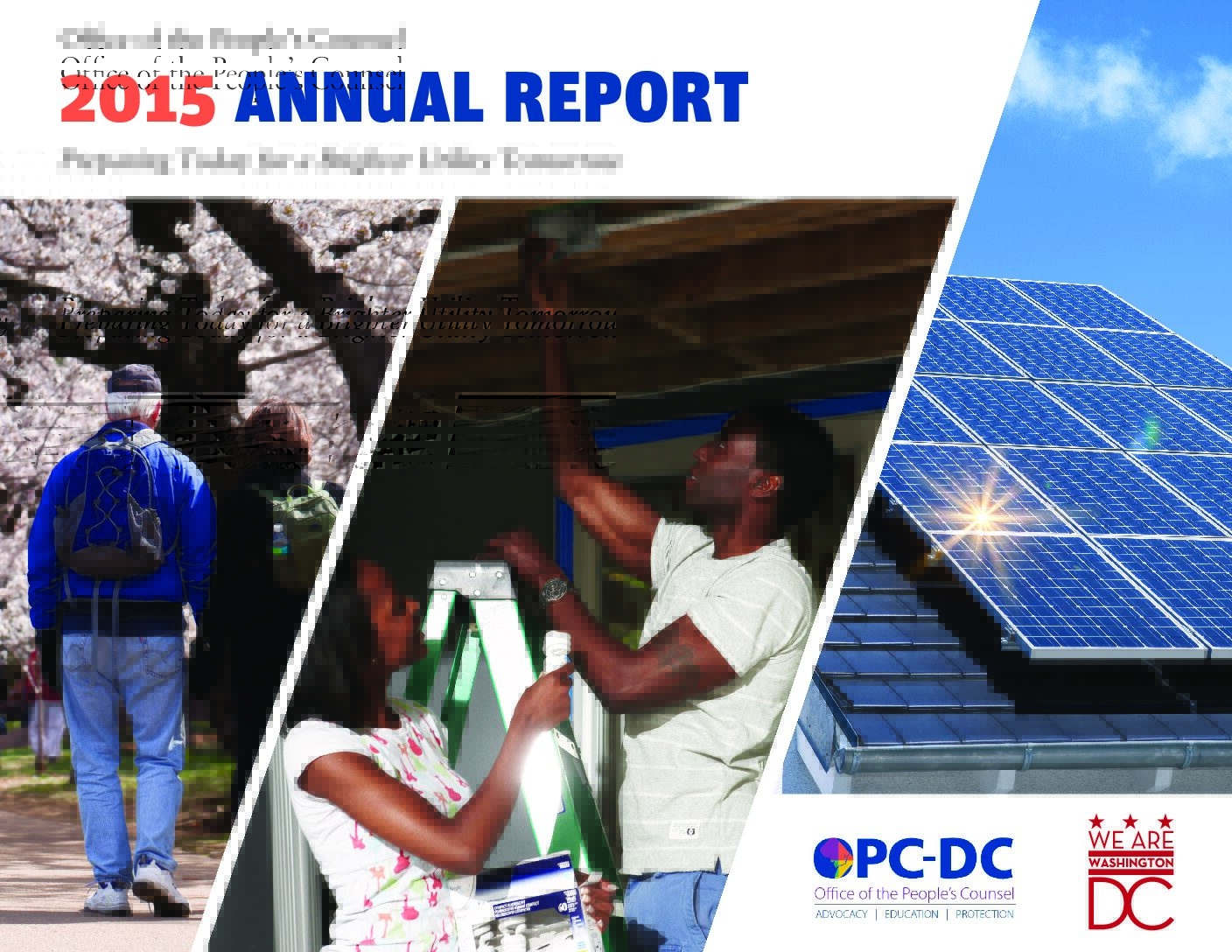 2015 Annual Report