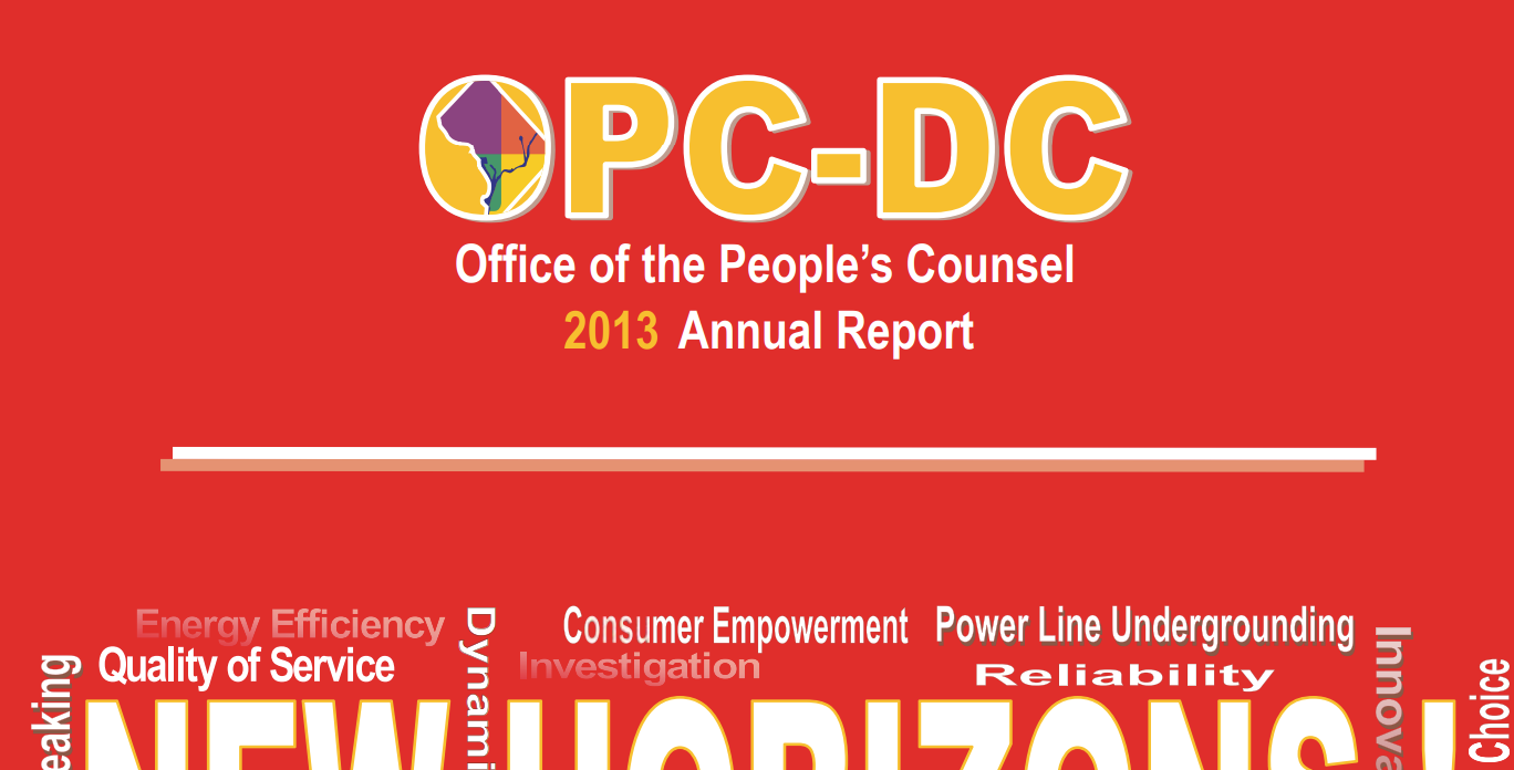 2013 Annual Report
